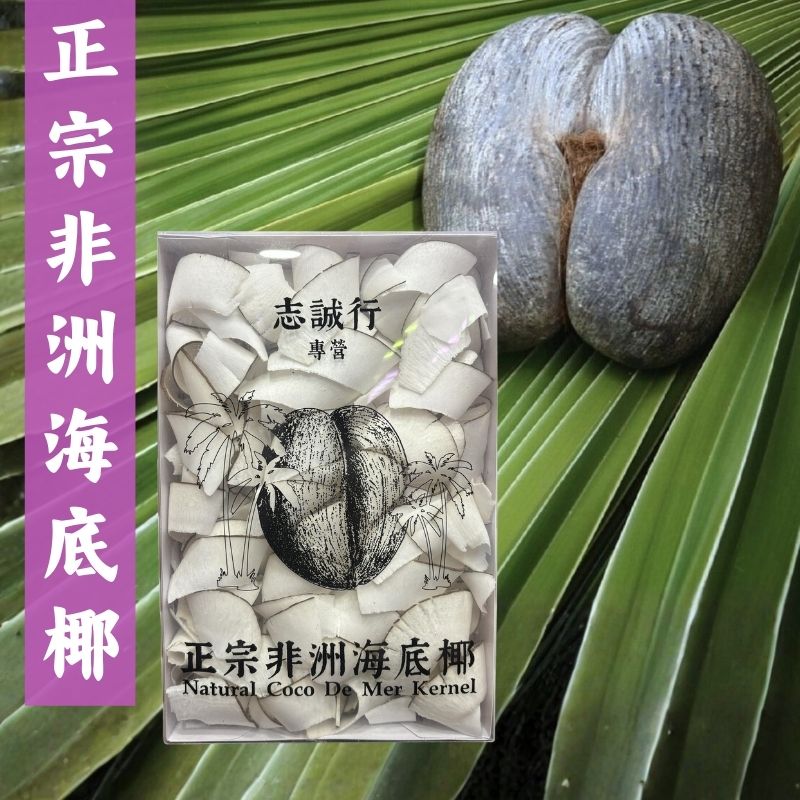 非洲海底椰 - 速效化痰止咳 | 潤肺清熱