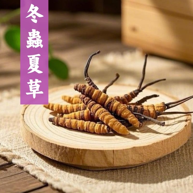 冬蟲夏草-提升免疫力 | 病後復原 | 補腎益肺 | 延緩衰老 | 補腎益肺