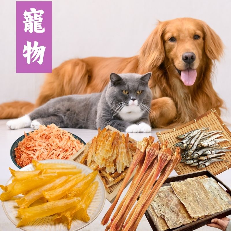 寵物專區