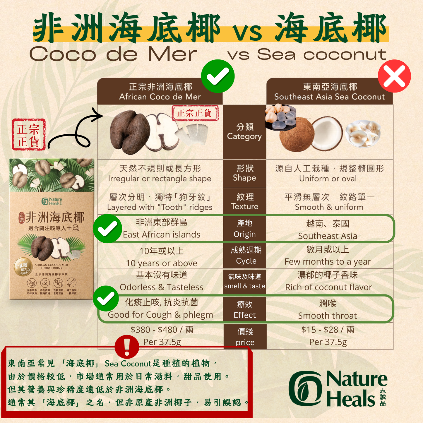 正宗非洲海底椰草本飲