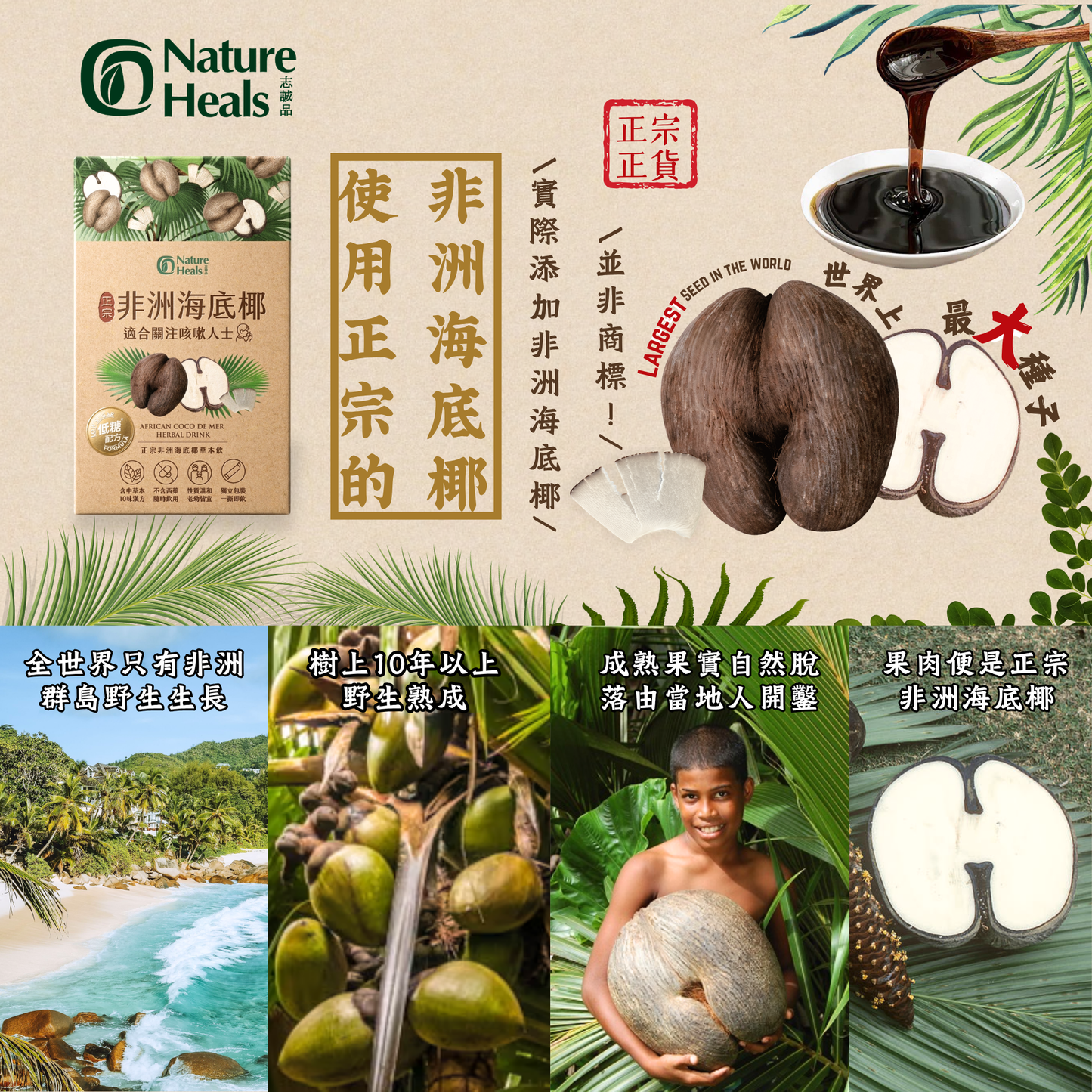 正宗非洲海底椰草本飲