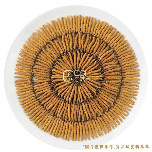 食療之選 - 西藏野生冬蟲夏草 (140-165條/盒 37.5克)