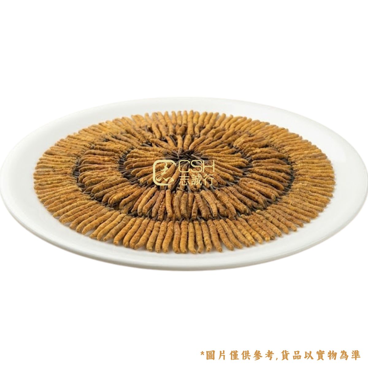 食療之選 - 西藏野生冬蟲夏草 (140-165條/盒 37.5克)