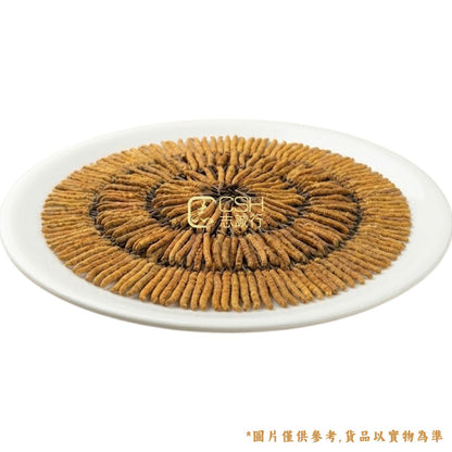 食療之選 - 西藏野生冬蟲夏草 (140-165條/盒 37.5克)