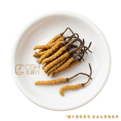 食療之選 - 西藏野生冬蟲夏草 (140-165條/盒 37.5克)