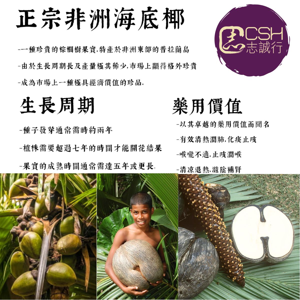 斷貨王- 正宗非洲海底椰(片裝) 37.5克