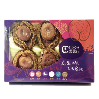 食家級 - 南非精選老網鮑 (8-10隻/盒 600克)
