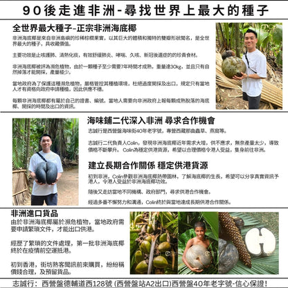 斷貨王- 正宗非洲海底椰(片裝) 37.5克